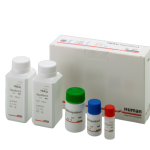 Clinical Chemistry Reagents