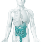 Gastroentérologie